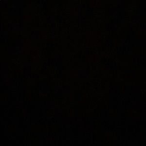 Meet your Posher, Brodie